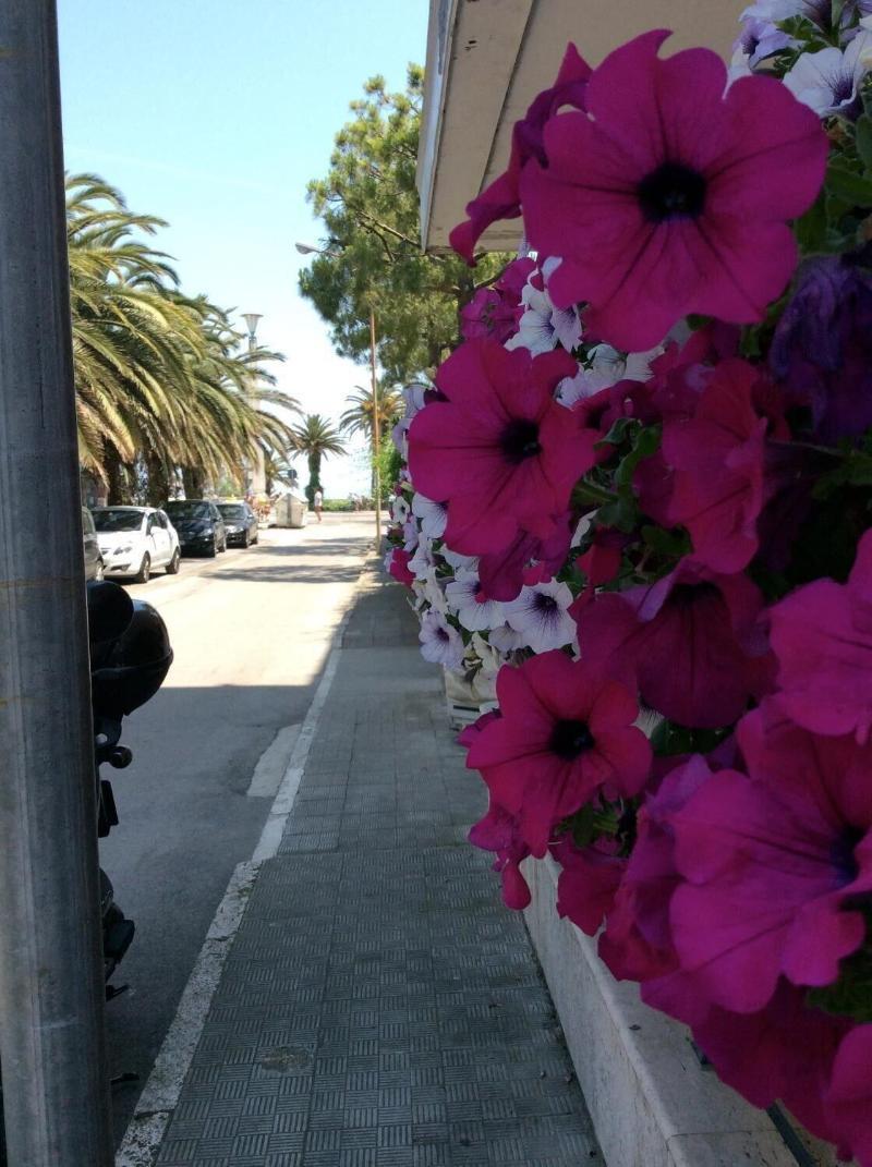 Hotel La Palazzina San Benedetto del Tronto Buitenkant foto